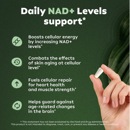 NAD+ Supplement for Skin Rejuvenation, Energy, and Focus